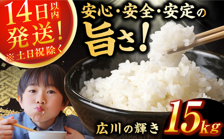 広川の輝き お米 15kg （5kg×3袋） / 米 米 米 米 米 米 米[AFBD010]