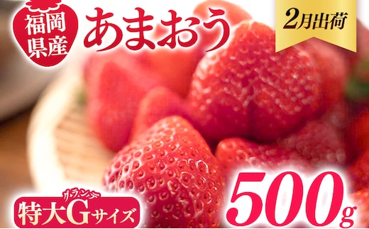 
										
										福岡県産 あまおう 500g （250g×2パック） いちご 2月中発送 いちご 苺 フルーツ 果物 くだもの 大粒Gサイズ グランデ 農家直送 大粒 不揃い 福岡県 福岡 九州 グルメ お取り寄せ
									