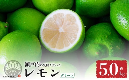 【先行予約】 【グリーンレモン】 【 9月から発送】 家庭用 グリーンレモン 約5kg 防腐剤 ワックス 不使用｜ 訳あり レモン 檸檬 完熟 柑橘 酸味 国産 愛媛県産 訳あり 新鮮 愛媛 松山
