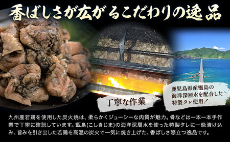 炭火焼 九州産  8パック 炭火焼