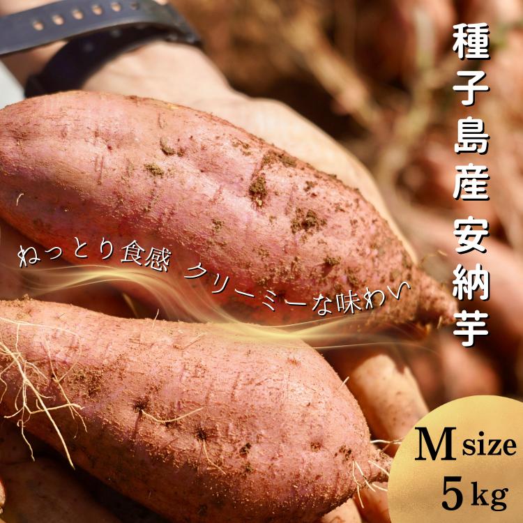 
                  【  新物 11月～ 】 種子島  めっかり申さん 安納いも ( 生いも ) M サイズ 5kg　NFN631【300pt】
                