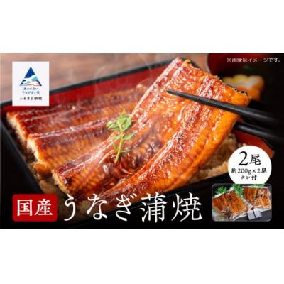 ふるさと納税 小松市 国産うなぎ蒲焼 2尾(各200g) 関西風うなぎの蒲焼き ※真空包装でお届け