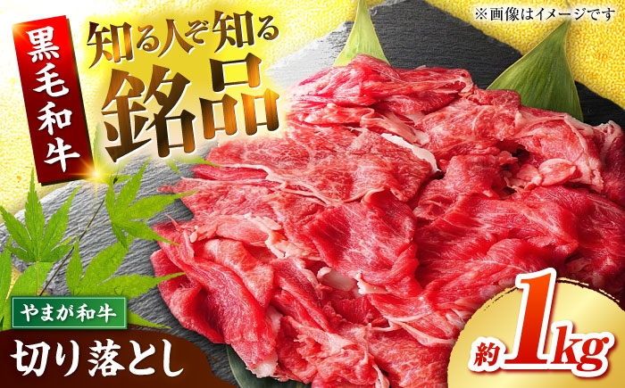 
                  やまが和牛 切り落とし 約1kg 黒毛和牛 和牛 牛肉 お肉 肉【鹿本農業協同組合】 [ZAG019]
                