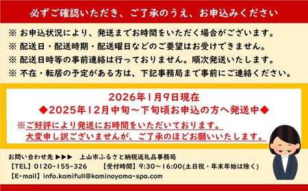 かみのやまシュー　１２個　0048-2506