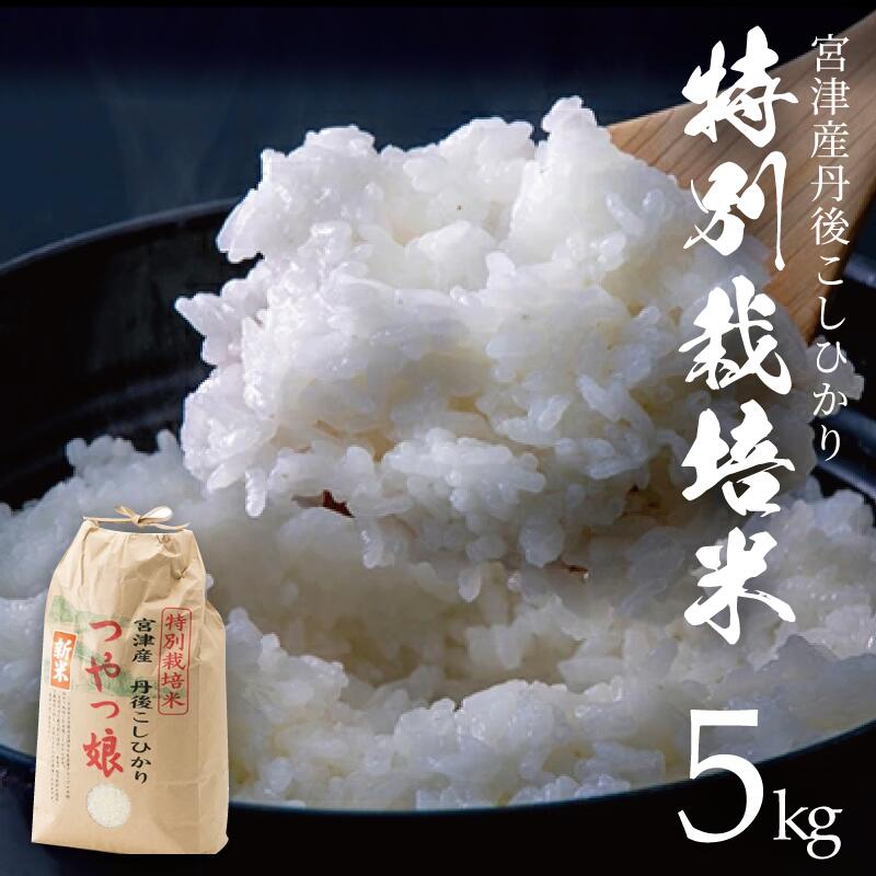 【ふるさと納税】【令和7年産】【新米/産地直送】特別栽培米 宮津産丹後コシヒカリ「つやっ娘」5kg 〈2025年10月以降順次発送〉 お米　お届け：2025年10月中旬～2026年5月下旬