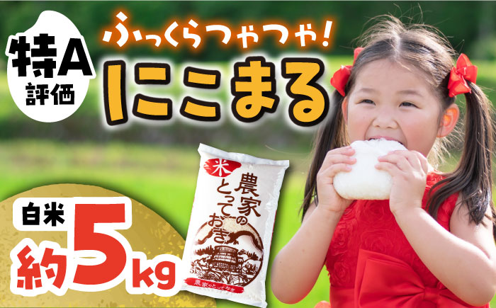 長崎県産 にこまる 約5kg 大村市 かとりストアー [ACAN001]