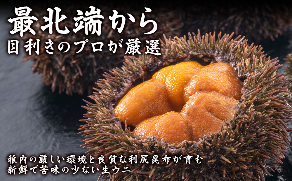 【うにの名産地稚内市】最北端の生むらさきうに(100g×1)　