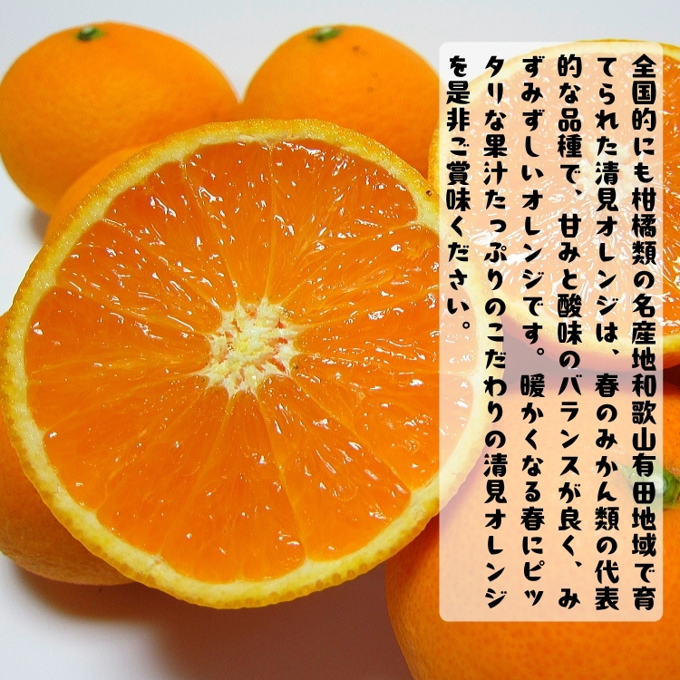 【ご家庭用】完熟 清見オレンジ 農家直送 約1.2kg(1kg+200g(補償分))