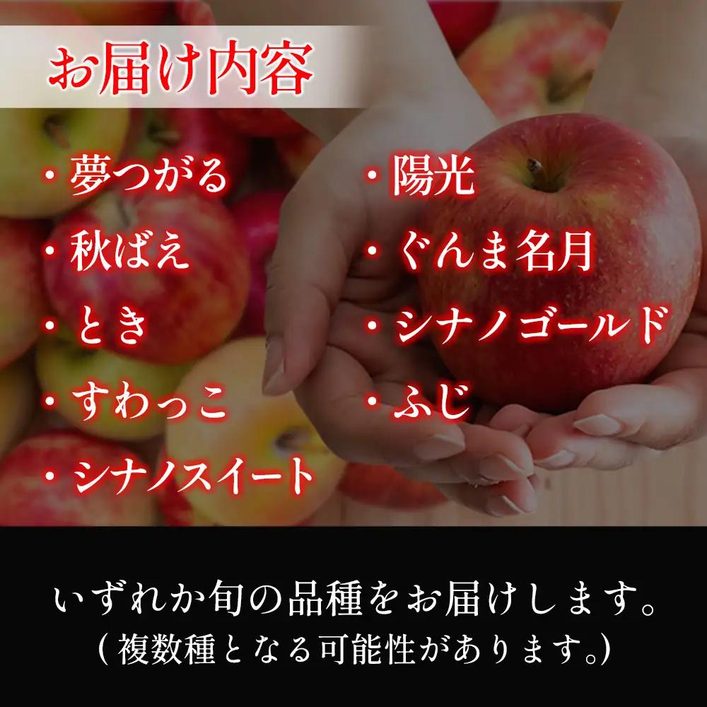 ≪10月中旬以降発送≫りんご 訳あり ご家庭用 約5kg 岡ちゃん農園の芸北りんご 農家直送 夢つがる 秋映 とき すわっこ シナノスイート 陽光 ぐんま名月 シナノゴールド ふじ_OK066_003