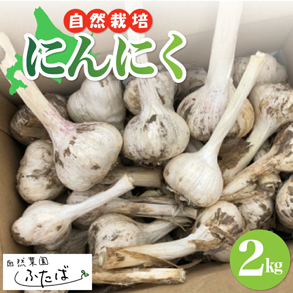【ふるさと納税】 北海道産 にんにく 2kg | ガーリック 自然栽培 自然農法 秋 旬 産地直送 安心安全 お取り寄せ 野菜 常温 国産 北海道 十勝 芽室町 自然菜園ふたば