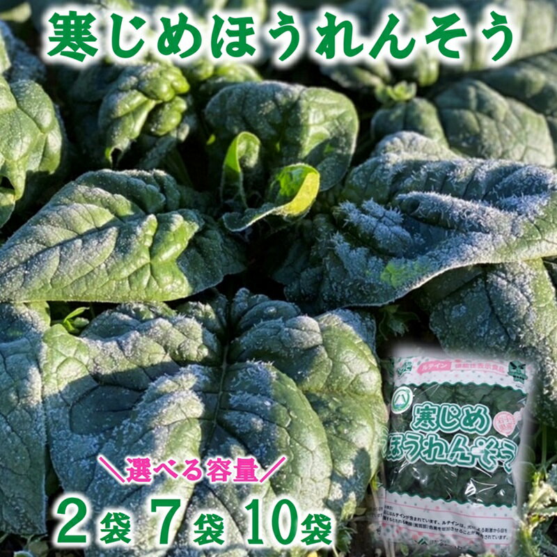 【ふるさと納税】 【年内配送】 12/23決済完了分まで 野菜 ほうれん草 寒じめほうれんそう 約210g×2袋 7袋 10袋 旬 ほうれん草 ホウレンソウ サラダ おひたし お味噌汁 産地直送 野菜 葉物 個包装 小分け 冷蔵 ふるさと納税 5000円以下 【11月下旬〜2月下旬頃 期間限定】