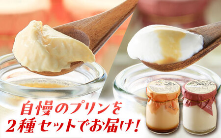 【6回定期便】シュシュプリンとジャージーみるくプリンセット 8個/月（計48個）/ プリン スイーツ ミルク ジャージ～牛乳 /  大村市 / おおむら夢ファームシュシュ [ACAA317]