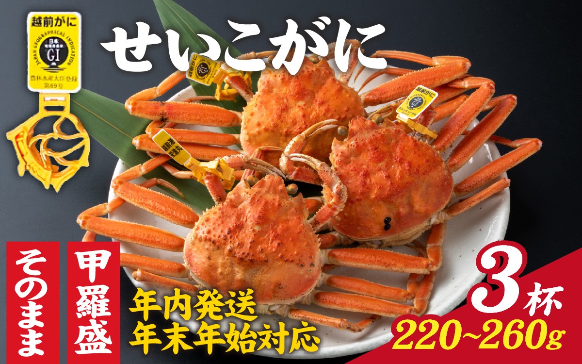 
                  【先行予約】選べる！美味しさ直送【成前特選】せいこがに（220g～260g）×3杯【年内発送・年末年始対応】【年内発送 年内お届け】 [L-028030] /  正月 ズワイガニ 甲羅盛り 越前がに かに 蟹 楚蟹 セイコ蟹 越前かに 香箱がに こうばこがに 親ガニ こっぺがに せこがに 甲羅蟹 甲羅がに 香箱蟹 メス ずわいがに カニ セイコガニ 姿
                