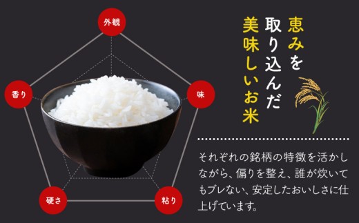 米 ふくおかみのり米  20kg 白米 《1-5日以内に出荷予定(土日祝除く)》お米  ブレンド米