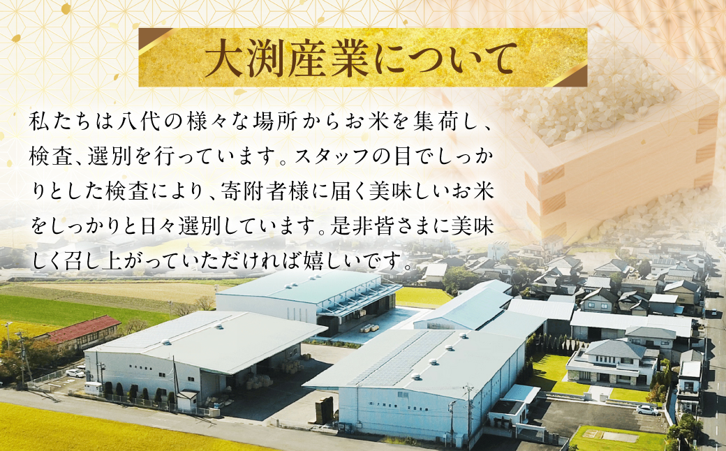 【先行予約】《令和7年産》くまさんの輝き 5kg×2袋 合計10kg  熊本県 八代市産 米 お米 精米 白米 国産 【2025年11月下旬より順次発送】