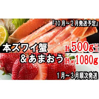 ふるさと納税 新宮町 冬を満喫!あまおう(1080g)・カニ(500g)セット【あまおう】.BF026