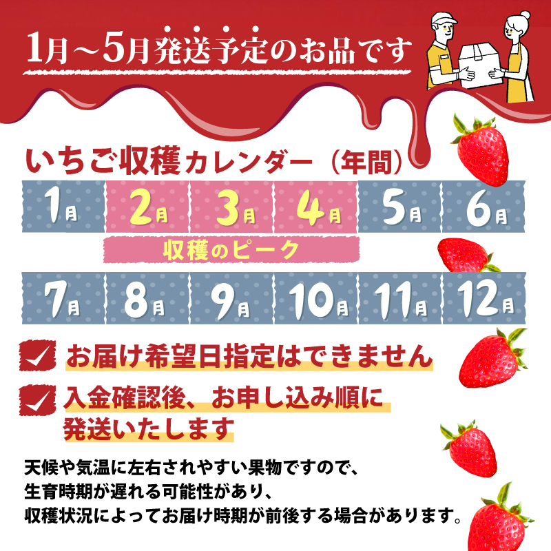いちご ことか 約270g×2パック 先行予約 【2027年4~5月発送】古都華 サイズ混合 数量限定 産地直送 春 旬 国産 冷蔵 イチゴ 苺 itigo ichigo strawberry ストロ