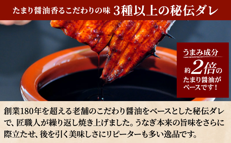 うなぎ蒲焼 200g×2尾(400g) うなぎ ウナギ 鰻 蒲焼 蒲焼き冷凍 国産 大五 大五通商 静岡 島田市