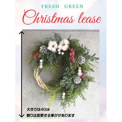 ふるさと納税 藤井寺市 フレッシュグリーンのクリスマスリース 1個 |  | 01