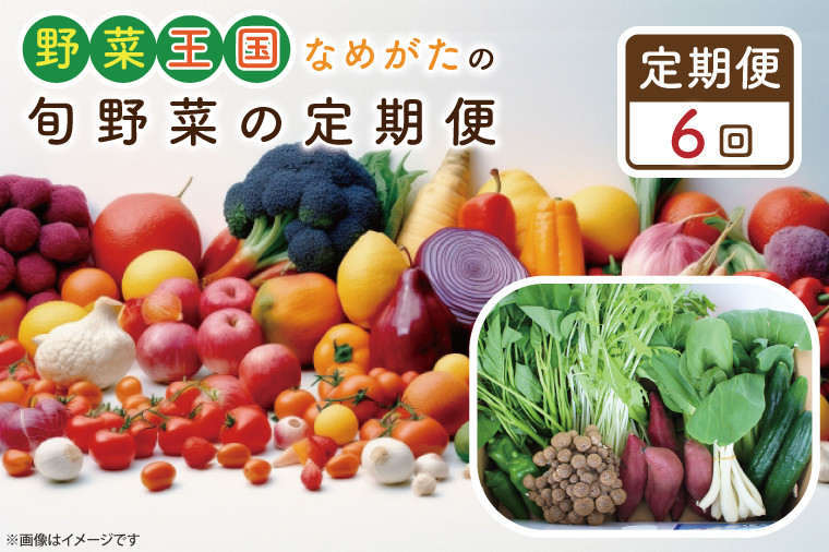 
                  CU-133　【6ヶ月定期便】野菜王国なめがたの旬野菜の定期便（さつまいも入り）
                