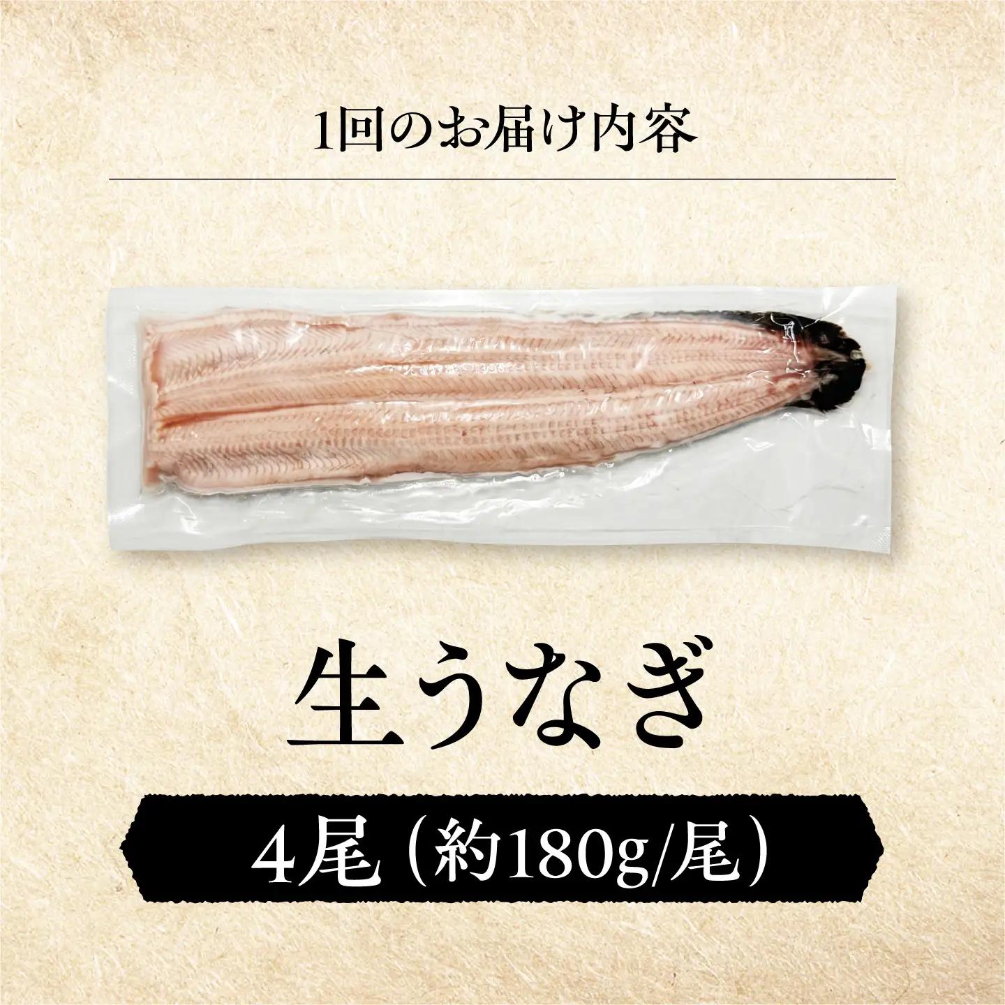 【全3回定期便】 鰻 美陵鰻の生鰻 4尾 / 美陵鰻 鰻 うなぎ ウナギ 蒲焼 蒲焼き かば焼き 白焼き 白焼 肉厚 うな重 うな丼 タレ 山椒 国産 スタミナ 土用 丑の日 土用の丑の日 贈答 ギフ