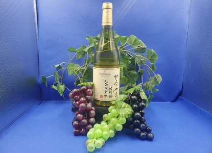 サントネージュかみのやま佐竹畑シャルドネ　１本　0141-2410