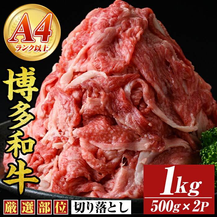 【ふるさと納税】【A4〜A5】博多和牛切り落とし(計1kg・500g×2P) 国産 九州産 福岡県産 牛肉 和牛 黒毛和牛 お肉【MEAT PLUS】