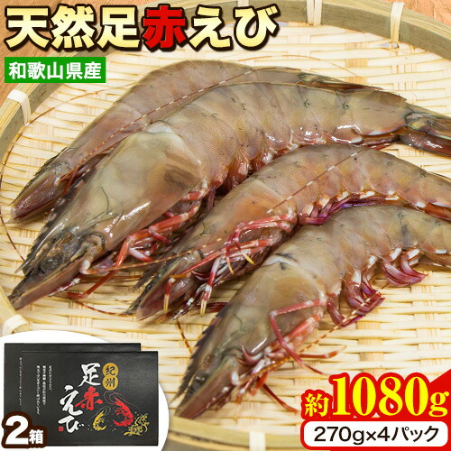 紀州和歌山産天然足赤えび 540g×2箱(270g×4パック) 化粧箱入 魚鶴商店《2025年11月上旬-2月上旬頃出荷》和歌山県 日高川町 足赤えび えび エビ