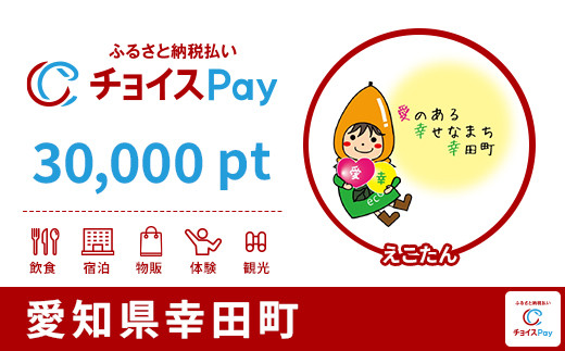 
            幸田町チョイスPay 30,000pt【会員限定のお礼の品】
          