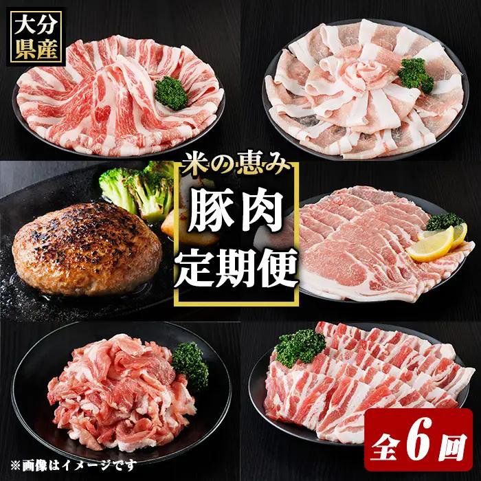 米の恵み豚 定期便 (全6回) 豚肉 肉 ハンバーグ しゃぶしゃぶ ロース 切り落とし 国産 【optk007】【大分県畜産公社】
