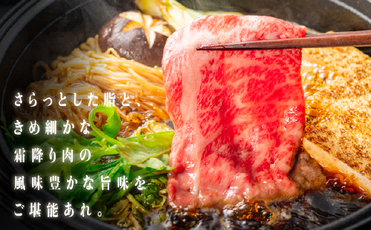 【肉質全国No.1 しまね和牛】島根県産 しまね和牛切り落とし 300g(お試し)【NK-3】牛肉 しゃぶしゃぶ すき焼き 肉 島根和牛 切りおとし 切落し