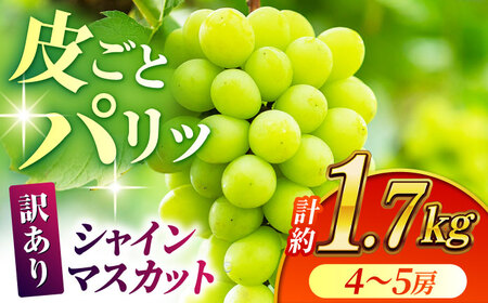 【先行予約】【訳あり】 シャインマスカット 約1.7kg(4?5房)【合同会社 社方園】[ZBZ031]