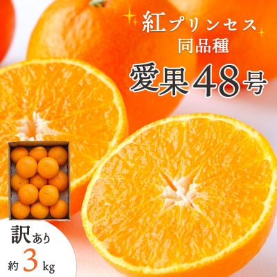 【2026年発送】「紅プリンセス」と同品種!愛媛果試48号 3kg【訳あり】【E25−174】【1600644】