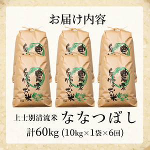 【F7199】《定期便・全6回》上士別清流米 ななつぼし (10kg×6回・計60kg) 米 お米 精米 白米 北海道米 ごはん ななつぼし 北海道産 士別産 10kg 60kg 定期便 【合同会社T