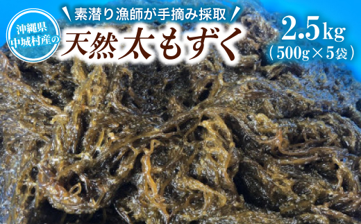 【数量限定・産地直送】素潜り漁師が手摘み採取!幻の天然もずく 塩蔵2.5kg(500g×5袋)【配送不可地域：離島】