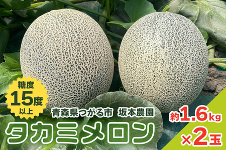 坂本農園のブランドメロン タカミ (約1.6kg×2玉) 糖度15度以上｜青森 津軽 つがる 果物 フルーツ ギフト 2024年産 [0628]