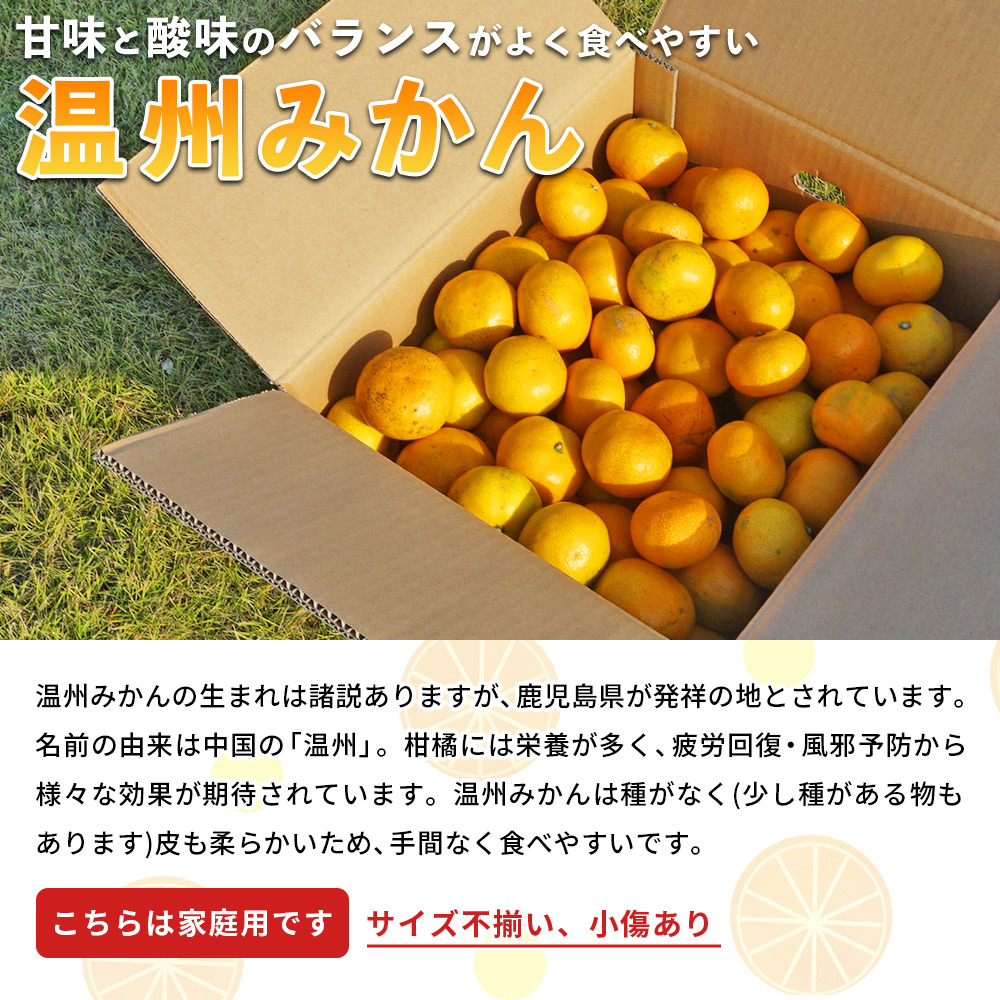 ＜愛媛県西予市産 温州みかん 家庭用 約3kg＞ 果物 くだもの うんしゅうみかん ウンシュウミカン ミカン 蜜柑 柑橘 フルーツ 自宅用 訳あり 旬 特産品 産地直送 段畑みかん株式会社 愛媛県 西