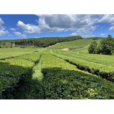 ふるさと納税 水俣市 【栽培期間中農薬不使用　マテリアルブレンドティー5本セット】こだわり原料だけのブレンドティー |  | 03