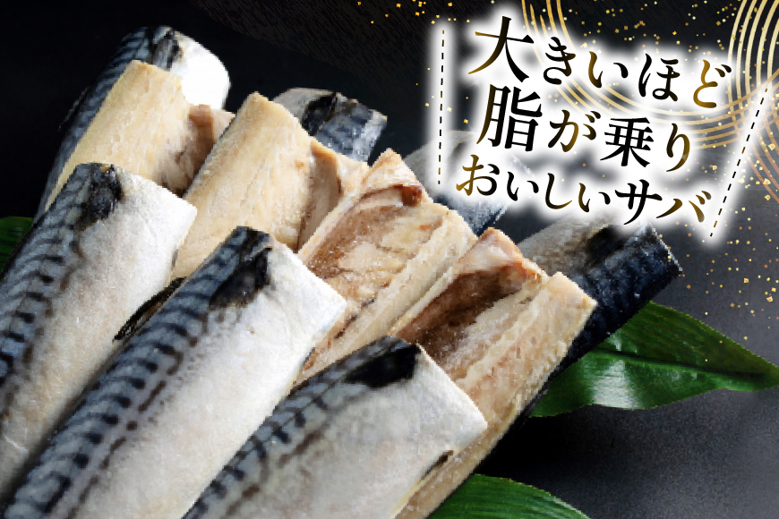 訳あり トロ塩サバ フィレ LLサイズ 3kg ★フィレ1枚230g超え！[足利本店 宮城県 気仙沼市 20565620] 魚介類 魚 海鮮 鮮魚 サバ さば 鯖 サバフィレ サバフィーレ 鯖フィレ トロサバ 訳アリ わけあり 切り身 冷凍
