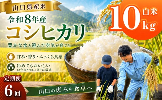 令和8年産 山口県産米 コシヒカリ 10kg 定期配送 6回 ｜ 令和8年産 コシヒカリ 山口県産米 こめ お米 コメ 白米 米 新米 ごはん 定期便 地元応援 瀬戸内 山口県 平生町 10kg