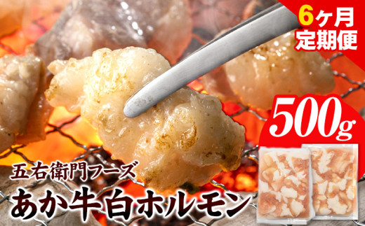 あか牛 白ホルモン 3kg 6ヶ月定期便 五右衛門フーズ 《お申込み月の翌月から出荷開始》 熊本県 球磨郡 山江村 牛肉 肉 国産 熊本県産 ブランド牛 絶品 贅沢 高級 あか牛 ホルモン もつ モツ