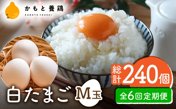 
【全6回定期便】【化粧箱入り】白たまご M玉 40個（37個＋3個割れ保証）【農事組合法人 鹿本養鶏組合】 [ZCA011] 贈答用 贈答 鶏卵 玉子 たまごかけご飯
