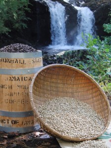 【訳あり】フェアトレード ブレンドコーヒー 富士山の湧き水で磨いた スペシャルティコーヒー 粉 800g　 コーヒー 珈琲 ブレンド豆 コーヒー豆  フェアトレードコーヒー 珈琲 豆 珈琲 スペシャル