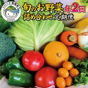 【ふるさと納税】 【定期便年2回】阿波の国海陽町 旬のお野菜詰め合わせセット 8～12品×2回 野菜 定期便 野菜定期便 年2回 徳島県 海陽町産 野菜セット 詰め合わせ 4-5名様以上 向け 季節の野菜 やさい 産地直送 新鮮 採れたて お試し