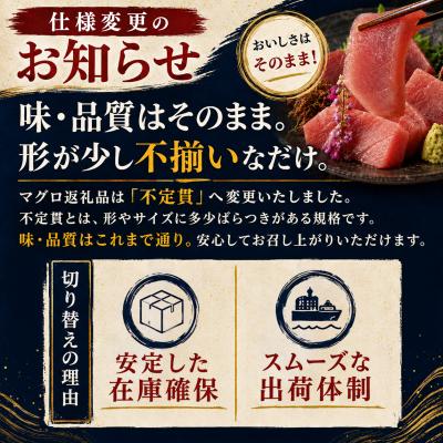 ふるさと納税 大月町 訳あり 不定貫 国産 まぐろ 本マグロ 黒潮 大トロ 定期便 3回 500g × 3回 刺身 |  | 01