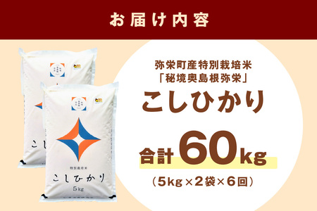 【定期便】【令和7年産】弥栄町産特別栽培米「秘境奥島根弥栄」こしひかり10kg（6回コース） 米 お米 精米 白米 ごはん 新生活 応援 準備 定期 6回 お取り寄せ 特産 特別栽培米 【090_18