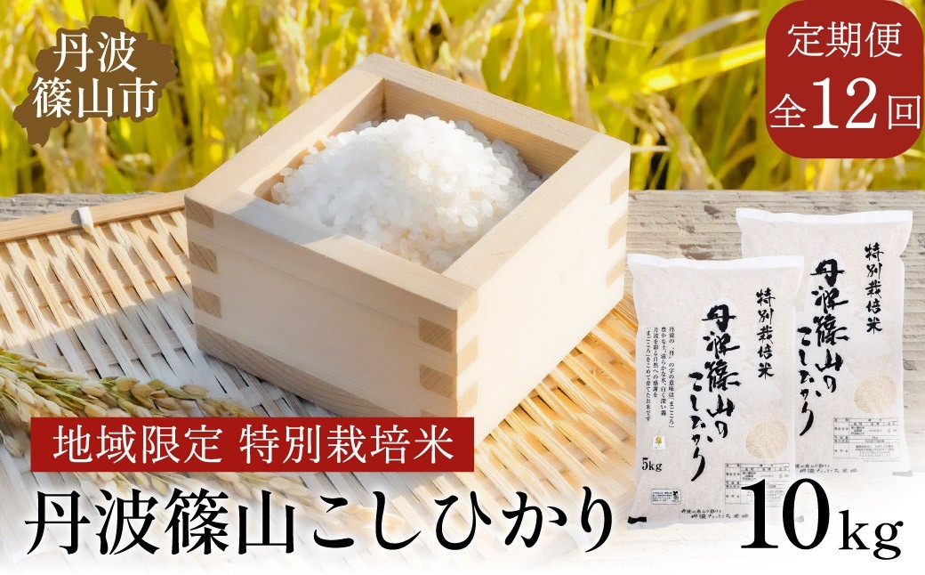 
            【定期便】※令和7年 新米※特Aランク特別栽培米　コシヒカリ　10kg（全12回）総量120kg 兵庫県 丹波篠山市 白米 100％単一原料米 産地直送米 おいしい お米 精米 コシヒカリ ブランド おこめ 健康 送料無料 おすすめ 人気 口コミ
          