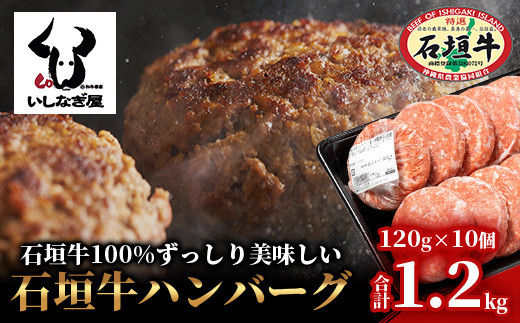 石垣牛ハンバーグ120g×10個【沖縄県 石垣市 高級 黒毛和牛 100％ 石垣牛 ビーフ ハンバーグ】AB-13-2