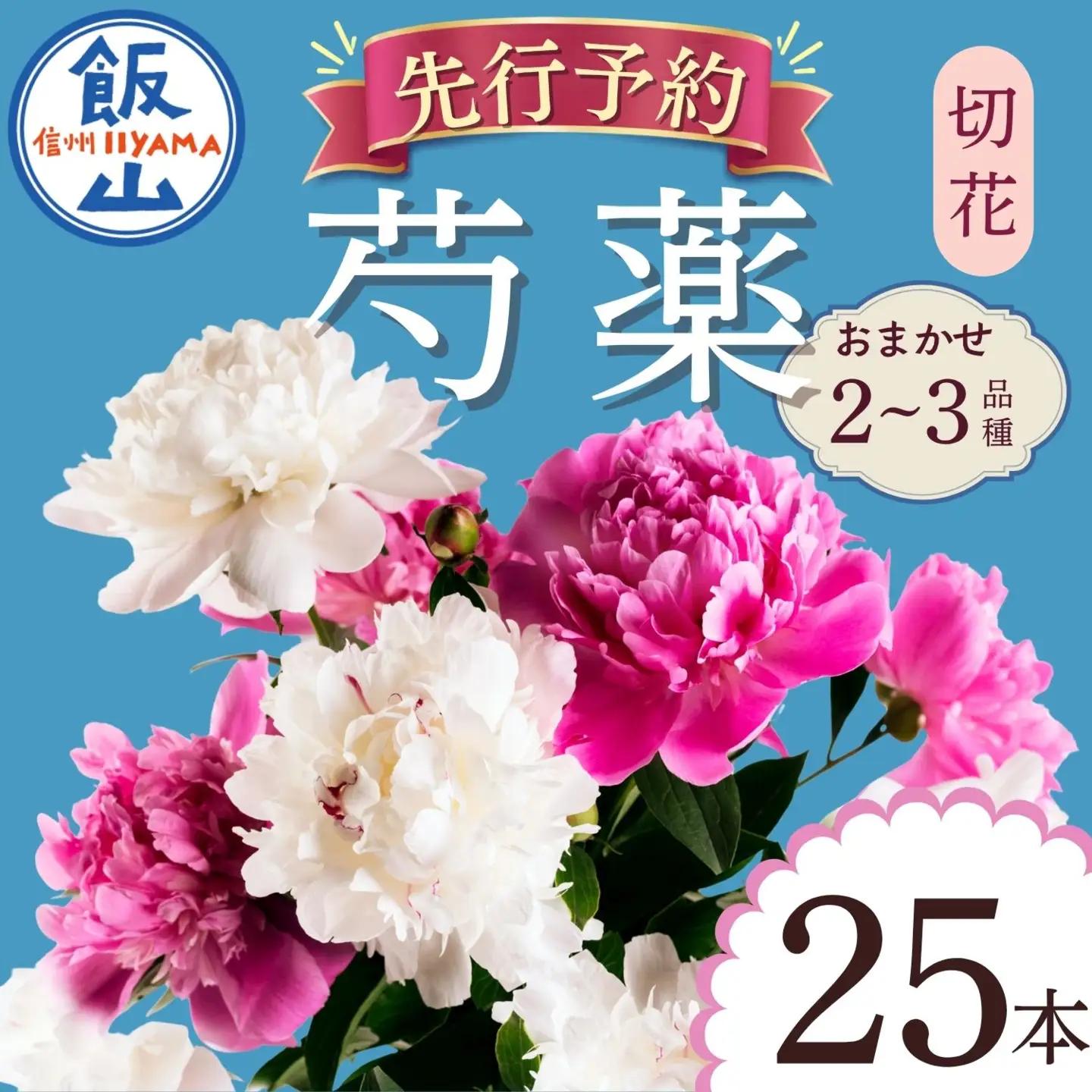 【先行予約】芍薬 切花 おまかせ2?3品種 25本セット | 木内ファーム
