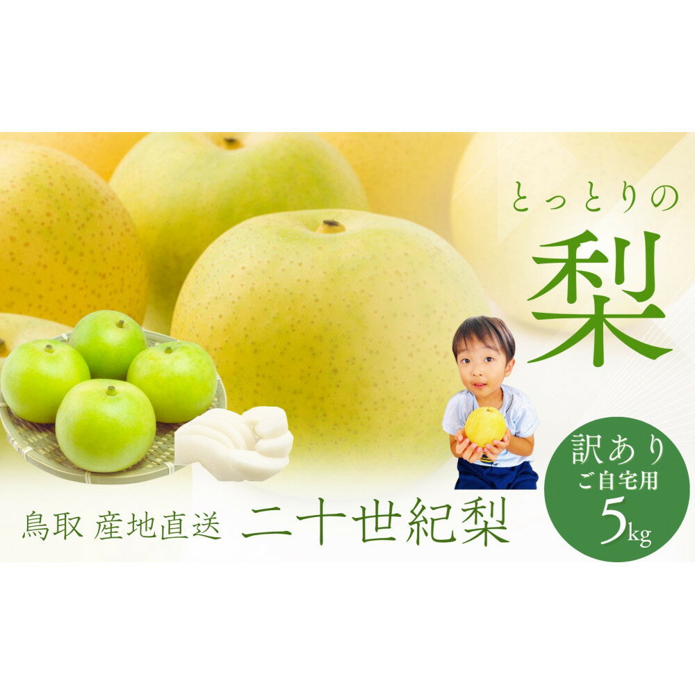 【ふるさと納税】鳥取県産 梨 訳あり ご自宅用 二十世紀梨 5kg 【鳥取県 境港市】